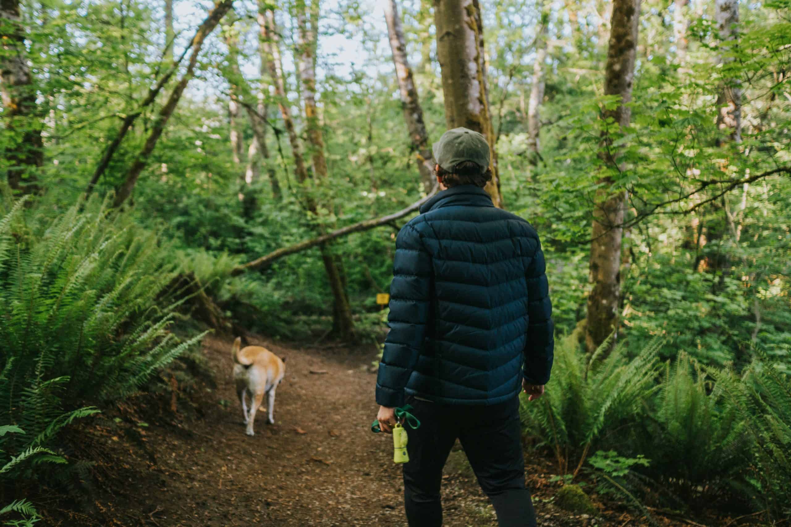 The Scoop on Bellingham’s Dog Poop Problem: Dog Poop Disposal Tips